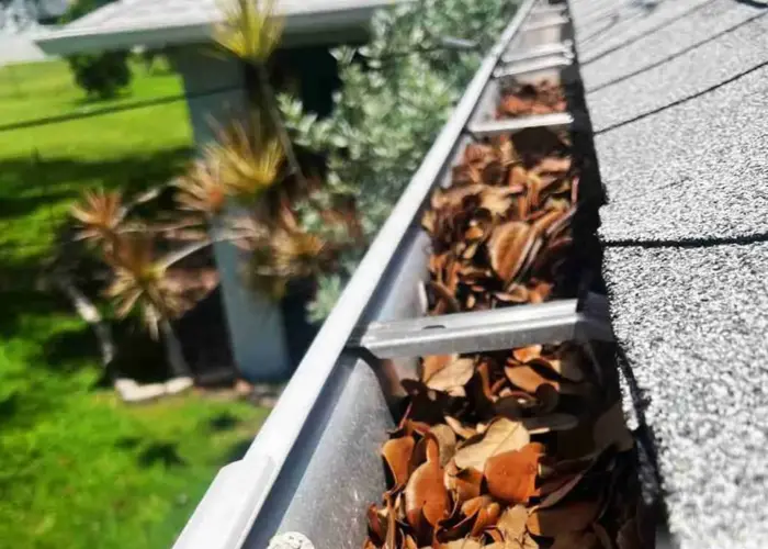 Gutter Cleaning Delhi home page